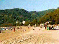 as_th_phuket